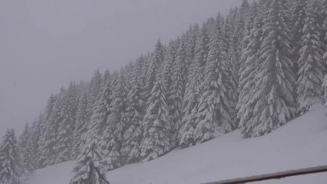 Наглый участковый хотел отнять у деда драгоценности, но в планы вмешался волк смотреть онлайн