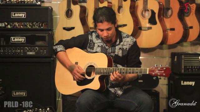 Granada PRLD-18C Acoustic Guitar (Dreadnought) Demo смотреть онлайн