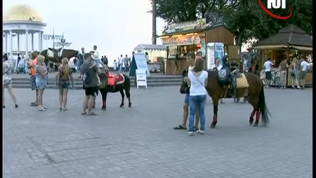 БЕРДЯНСК 2015 КОНИ на ПРИМОРКЕ смотреть онлайн