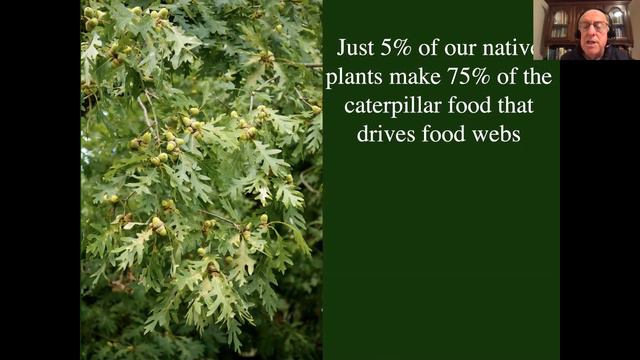 Nature's Best Hope with Dr. Doug Tallamy смотреть онлайн