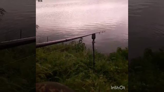 Рыбалка в КБР!!!! ОХОТА НА АМУРА!!! Рыбалка у Клима 1 часть !!!!! смотреть онлайн
