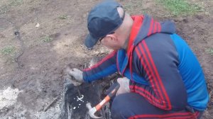 Как избавиться от пней на участке