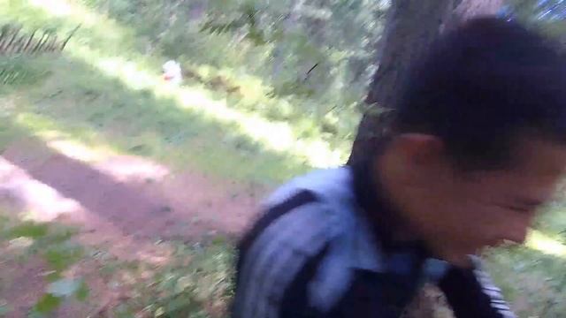 в лес за кедровой шишкой смотреть онлайн