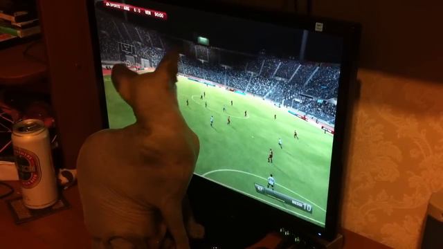 FIFA 13 Сфинкс играет ФИФА 13 смотреть онлайн