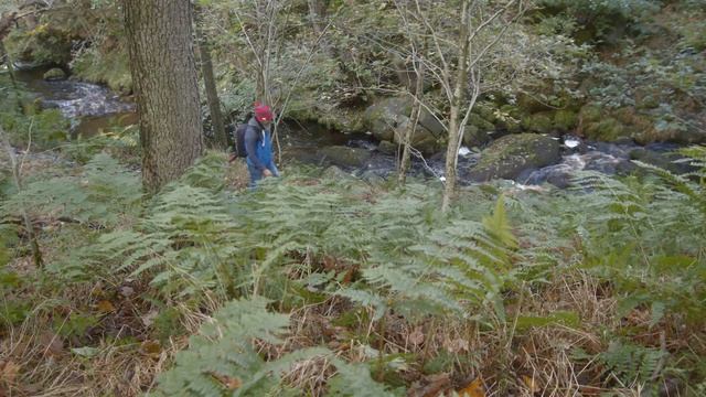 Padley Gorge with a Zenith 80 #zenith80 #FilmPhotography смотреть онлайн