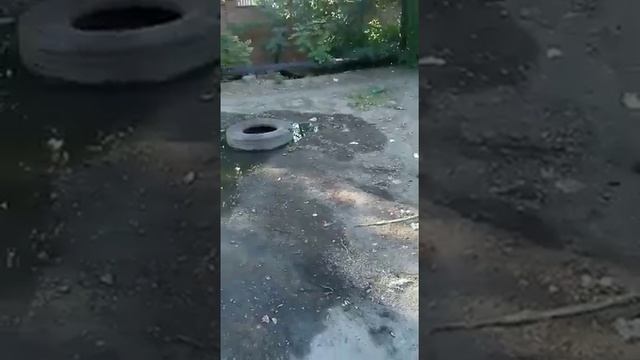 Течёт канализационный колодец, пер. Комиссаровский смотреть онлайн