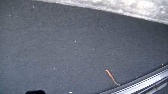 Хендай Солярис конденсат в багажнике смотреть онлайн