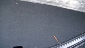 Хендай Солярис конденсат в багажнике