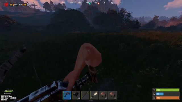 RUST DZ FRESH WIPE смотреть онлайн