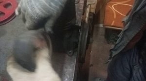 Компрессор ЗиЛ 130. Вращение правое или левое ?