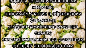 Польза и вред цветной капусты