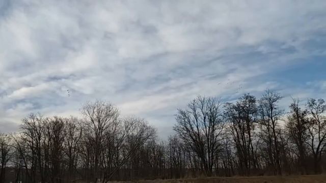 Металлоискатель Тесоро, Сабля от БГС, мой первый выход по берегу Южного Буга. смотреть онлайн