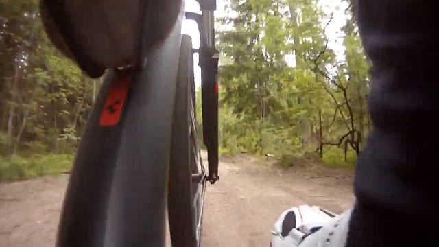 HD-S 720p 1280x720 солнце-тень, лес - 3 смотреть онлайн