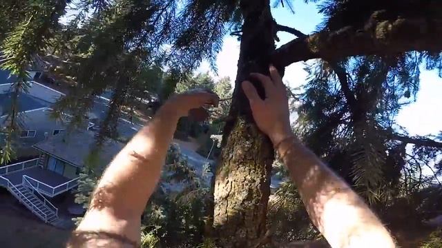 How to Install a Mesh Node With an Extra Power Source смотреть онлайн