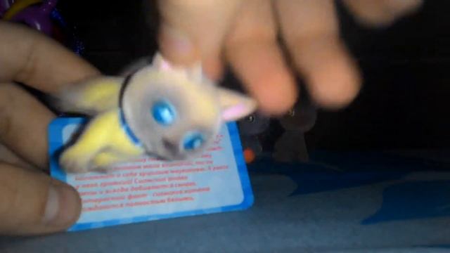 Обзор игрушек PeTZoo смотреть онлайн