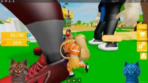 БИТВА КОТОВ В СИМУЛЯТОРЕ КАЧКА ROBLOX
