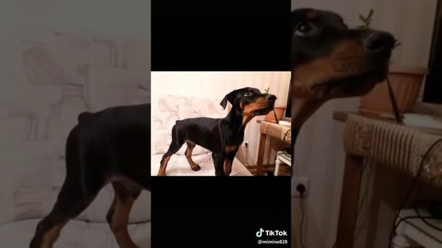 28 ноября 2019 г. смотреть онлайн