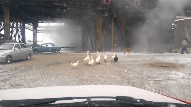 Норильск - Гуси смотреть онлайн