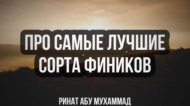 Про самый лучшие сорта фиников. Ринат Абу Мухаммад смотреть онлайн