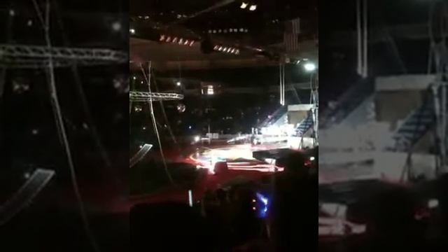 Shrine circus cool смотреть онлайн