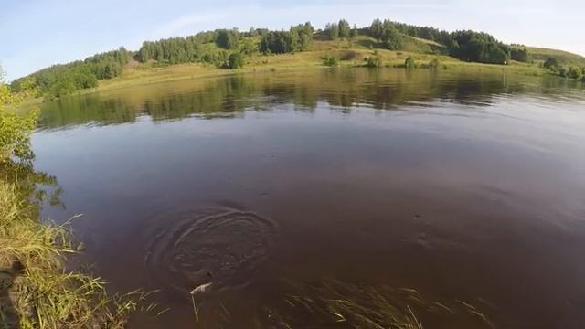 Бойкая чухонь смотреть онлайн