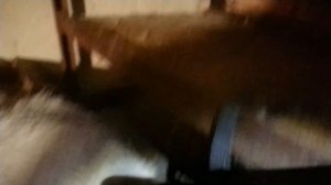 Если ваша коза не даёт подоить! Идея!