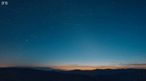 Nicky Youre, dazy - Sunroof (Lyrics)