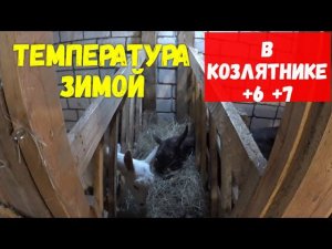 Температура воздуха в козлятнике зимой  поддерживать  +6 +7