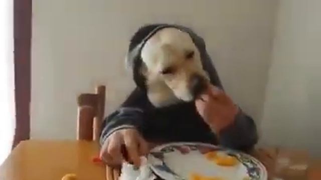 А добавку можно? смотреть онлайн