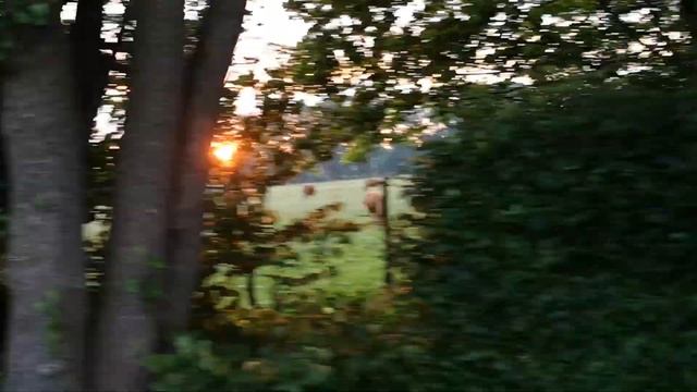 Дорога с работы домой. Сдать ночную смену и спокойно поехать спать, что может быть лучше ? смотреть онлайн