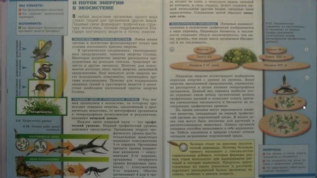 Биология (Л.Н.Сухорукова) 9к §42 Круговорот веществ и поток энергии в экосистеме смотреть онлайн