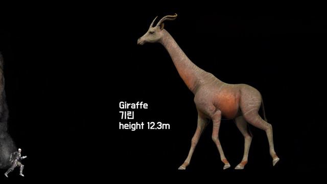 Atlas Monster Size Comparison (아틀라스 몬스터 크기 비교)