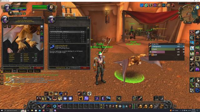 World of Warcraft SOD hunter Pridewing Pet Skin!(wind serpent) BIS PET! смотреть онлайн