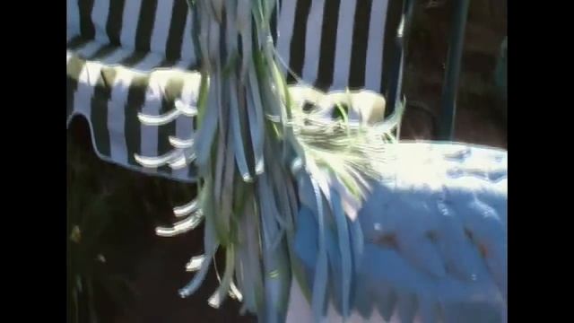 птица из пластиковых бутылок . смотреть онлайн