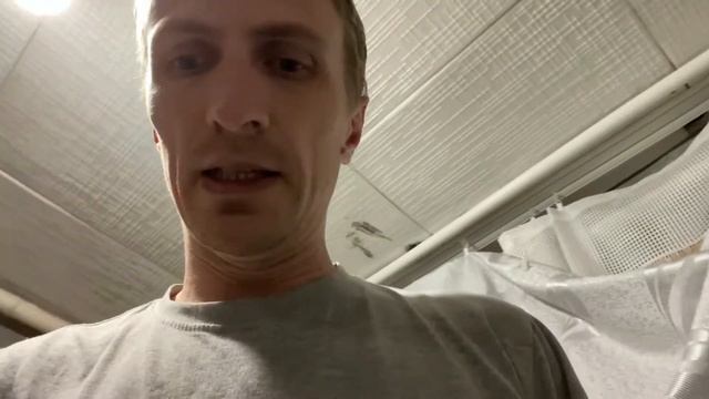 Светодиодная лампа для рассады с фиолетовым светом | Свет для растений дома | БРЕнД ИВАНА смотреть онлайн