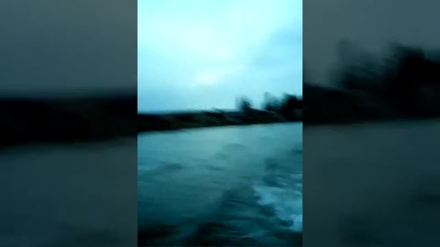 Жизнь за МКАДом - Бандерлоги в карелии смотреть онлайн