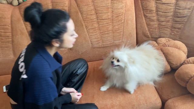 1 влог. ВОЗВРАЩАЮСЬ НА РОДИНУ (Беларусь, Гомель) смотреть онлайн