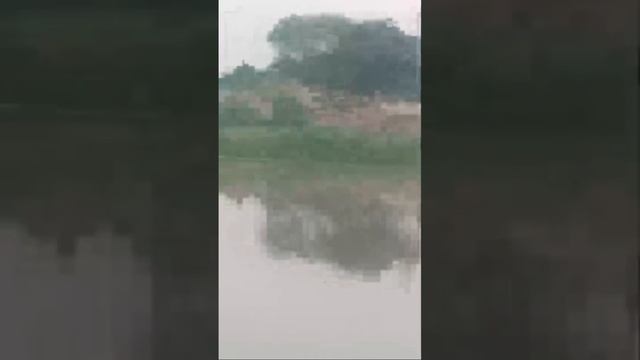 Relaxing Video For Sleep смотреть онлайн