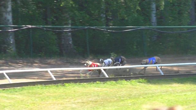 Greyhound EGU 30v First Diamond Derby 2/2 280m смотреть онлайн