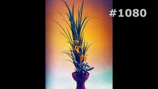 #1080. Натюрморты - самые яркие цветы смотреть онлайн