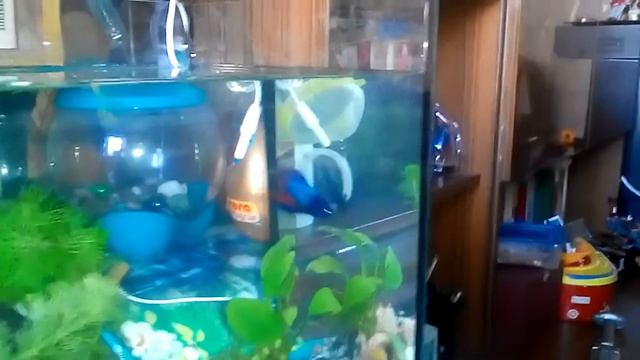 Бой с отражением смотреть онлайн