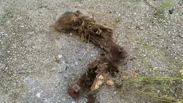 Копаем металл с Илюхой. смотреть онлайн