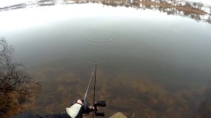 Стоит ли ставить флюрокарбон на мульт?