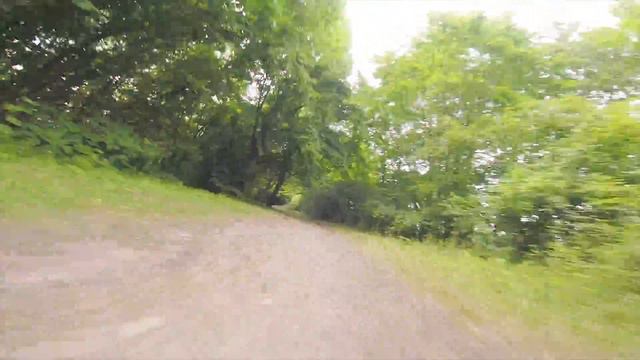 He dances around the trees ... | Betaflight 3.4 смотреть онлайн