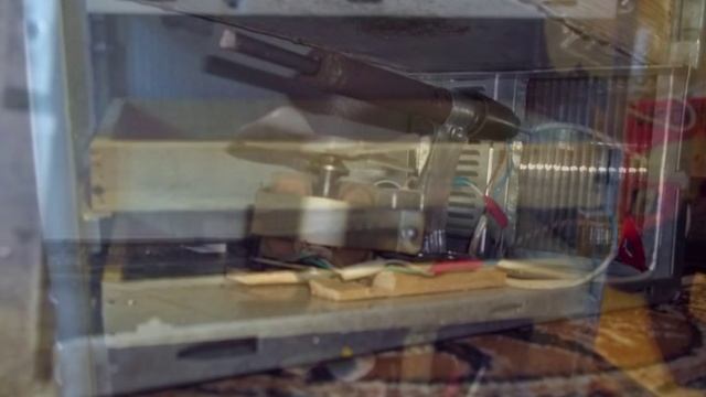 Самодельная сушилка для пчелиного подмора. смотреть онлайн