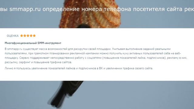 Отзывы smmapp.ru определение номера телефона посетителя сайта реклама смотреть онлайн
