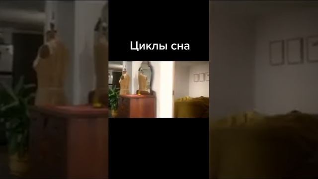 Циклы сна