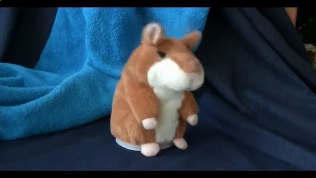 Говорящий хомяк повторюшка видео