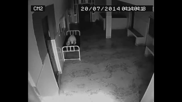 Ghost Coming Out Of Dead body Caught On CCTV Camera | Soul Leaving Dead Body, Hospital CCTV Footage смотреть онлайн
