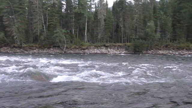 Рыбалка на ХАРИУСА и ЛЕНКА , горная река , пороги в Северобайкальске . ЧАСТЬ 1. смотреть онлайн